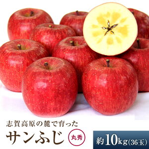 yӂ邳Ɣ[Łzuꍂ̘[ň Tӂ ۏG36 10kg  10kg t[c ʕ fU[g @͂F2025N121`10\ no׎Ă邽