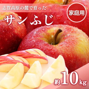 yӂ邳Ɣ[Łzuꍂ̘[ň Tӂ iƒpj10kg  10kg t[c ʕ fU[g  @͂F2025N121`10\ no׎Ă邽