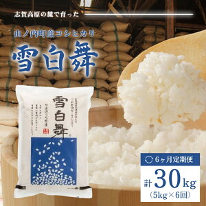 yӂ邳Ɣ[Łzuꍂ̘[ň RmYRVqJwᔒx5kg 6A͂I  RVqJ 5kg 5L uh  6 @͂F񕍓mF̗z