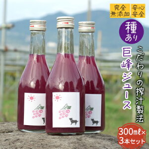 yӂ邳Ɣ[ŁzySYzySSzy̍`@z킠苐W[X300ml×3{Zbgy͔|Ԓ ܁ElIjR`mChn_Ew엿sgpz ʎ t