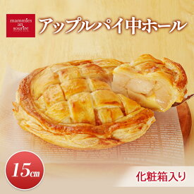 【ふるさと納税】アップルパイ中ホール（15cm）山ノ内町 スイーツ お取り寄せ　お届け：入金確認後、順次発送