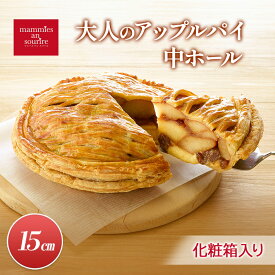 【ふるさと納税】大人のアップルパイ中ホール（15cm）山ノ内町 スイーツ お取り寄せ　お届け：入金確認後、順次発送