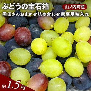 yӂ邳Ɣ[ŁzԂǂ Ԃǂ̕Δ c񂨂܂lߍ킹ƒp1.5kg RmY uhE @͂F2025N910`2025N1015