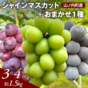 �y�ӂ邳�Ɣ[�Łz�y2026�N�����z�Ԃǂ� �V���C���}�X�J�b�g + ���܂���1�� ��1.5kg�i3?4�[�j�R�m�����Y �u�h�E ���� �}�X�J�b�g�@���͂��F2026�N9��10���`2026�N10��15��