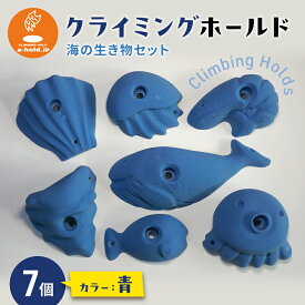 【ふるさと納税】クライミングホールド・海の生き物セット クライミング 遊び 子供 トレーニング リサイクル素材 耐久 環境保護