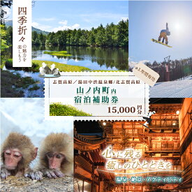 【ふるさと納税】山ノ内町内宿泊補助券（3枚）1年間有効 15,000円分 旅行 宿泊券 ホテル 旅館 チケット 宿泊 補助券 志賀高原 湯田中渋温泉郷 北志賀高原 地獄谷野猿公苑 温泉 ギフト 自然 観光 長野県 信州 冬 スキー
