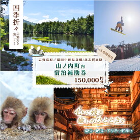 【ふるさと納税】山ノ内町内宿泊補助券（30枚）1年間有効 150,000円分 旅行 宿泊券 ホテル 旅館 チケット 宿泊 補助券 志賀高原 湯田中渋温泉郷 北志賀高原 地獄谷野猿公苑 温泉 ギフト 自然 観光 長野県 信州 冬 スキー