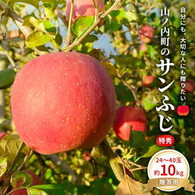 【ふるさと納税】【2026年発送】贈りたい味、笑顔届ける　 山ノ内育ちのりんご　サンふじ　贈答用　特秀10kg りんご 果物　お届け：2026年12月上旬～下旬
