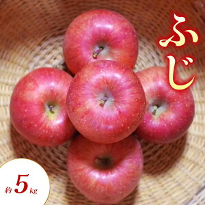 yӂ邳Ɣ[Łzӂ 5kg  S ь ʕ t[c 쌧  Rm@͂F2025N11{`12{