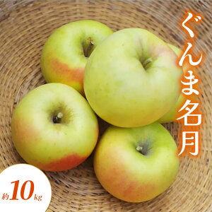 yӂ邳Ɣ[Łzܖ 10kg  S ь ʕ t[c 쌧  Rm@͂F2025N10{`11{