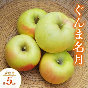 yӂ邳Ɣ[Łzܖ ƒp 5kg  S ь ʕ t[c 쌧  Rm@͂F2025N10{`11{
