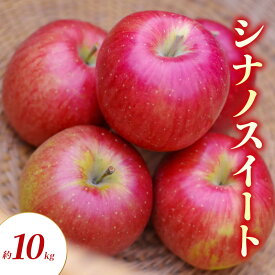 【ふるさと納税】りんご シナノスイート 約 10kg フルーツ 果物 秋 旬 旬の果物 旬のフルーツ 長野県産　お届け：2026年10月上旬～11月上旬