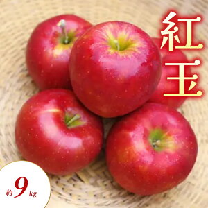yӂ邳Ɣ[Łzg 9kg  S ь ʕ t[c 쌧  Rm@͂F2025N9{`10{