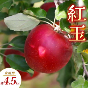 yӂ邳Ɣ[Łzg ƒp 4.5kg  S ь ʕ t[c 쌧  Rm@͂F2025N9{`10{