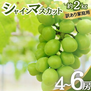 yӂ邳Ɣ[ŁzVC}XJbg 󂠂ƒp 2kg 4`6[ }XJbg Ԃǂ ʕ MB @͂F2025N10{`10{