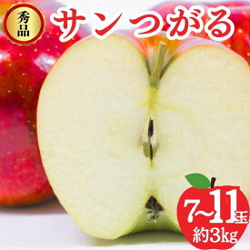 【ふるさと納税】【2026年発送】サンつがる 秀品 約3kg 7～11玉 りんご 果物 信州 長野　お届け：2026年8月下旬～9月中旬