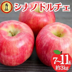 yӂ邳Ɣ[ŁzVimh`F Gi 3kg 7`11  ʕ MB @͂F2026N9{`10{