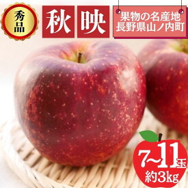 【ふるさと納税】【2026年10月発送】秋映 秀品 約3kg 7～11玉 りんご 果物 信州 長野　お届け：2026年10月上旬～中旬