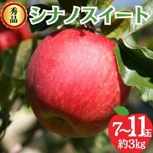 yӂ邳Ɣ[ŁzVimXC[g Gi 3kg 7`11  ʕ MB @͂F2025N10{`{