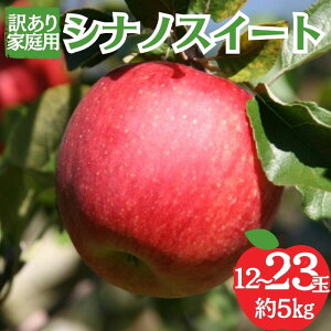 yӂ邳Ɣ[ŁzVimXC[g 󂠂ƒp 5kg 12`23  ʕ 󂠂 MB @͂F2025N10{`{