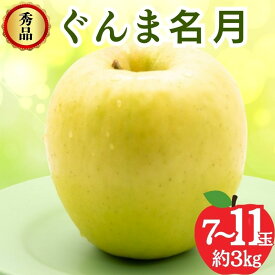 【ふるさと納税】【2026年発送】ぐんま名月 秀品 約3kg 7～11玉 りんご 果物 信州 長野　お届け：2026年11月上旬～下旬