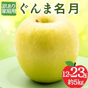 yӂ邳Ɣ[Łzܖ 󂠂ƒp 5kg 12`23  ʕ 󂠂 MB @͂F2025N11{`{