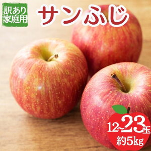 yӂ邳Ɣ[ŁzTӂ 󂠂ƒp 5kg 12`23  ʕ 󂠂 MB @͂F2025N12{`{
