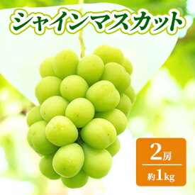 【ふるさと納税】シャインマスカット 約1kg 2房 ぶどう フルーツ 果物 デザート 長野県 山ノ内町　お届け：2025年9月中旬～2025年10月下旬