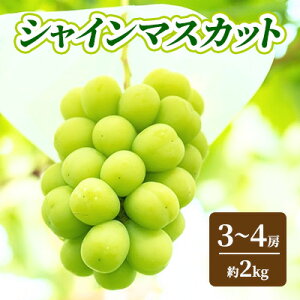 yӂ邳Ɣ[ŁzVC}XJbg 2kg 3`4[ Ԃǂ t[c ʕ fU[g 쌧 RV@͂F2025N9{`2025N10{
