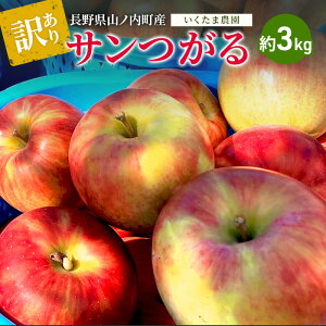 �y�ӂ邳�Ɣ[�Łz�y2026�N�����z�󂠂� �T������ ��3kg �����S ��� �t���[�c �ʕ� ������ ���쌧 �R�m�����@���͂��F2026�N8�����{�`9�����{�܂�