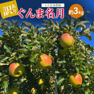 yӂ邳Ɣ[Łzy󂠂zܖ@3kg S  t[c ʕ  쌧 Rm@͂F2025N11{`11{܂
