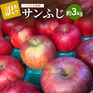yӂ邳Ɣ[Łzy󂠂zTӂ@3kg S  t[c ʕ  쌧 Rm@͂F2025N11{`12{܂