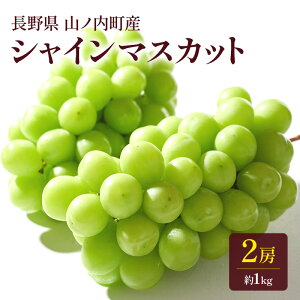 yӂ邳Ɣ[ŁzVC}XJbg2[ 1kg Ԃǂ uhE ʕ  t[c MB @͂F2025N10{`10{