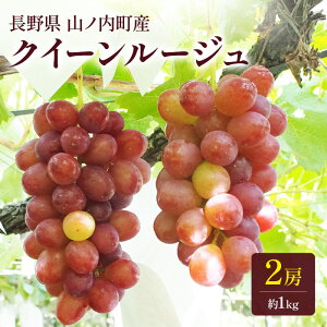 yӂ邳Ɣ[ŁzNC[[W2[1kg Ԃǂ uhE ʕ  t[c MB @͂F2025N10{`10{