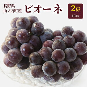 yӂ邳Ɣ[ŁzsI[l2[1kg Ԃǂ uhE ʕ  t[c MB @͂F2025N10{`10{