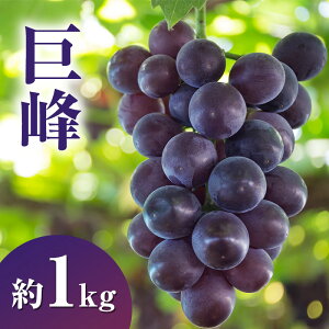 �y�ӂ邳�Ɣ[�Łz�y2026�N�����z������1kg �Ԃǂ� ���쌧�Y�@���͂��F2026�N9����{�`9�����{�܂�