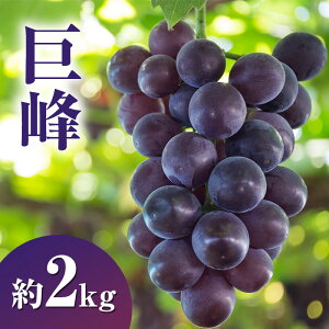 �y�ӂ邳�Ɣ[�Łz�y2026�N�����z������2kg �Ԃǂ� ���쌧�Y�@���͂��F2026�N9����{�`9�����{�܂�