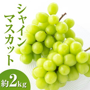 �y�ӂ邳�Ɣ[�Łz�y2026�N�����z�V���C���}�X�J�b�g��2kg 4�`6�[ ���쌧�Y�@���͂��F2026�N9�����{�`10����{�܂�