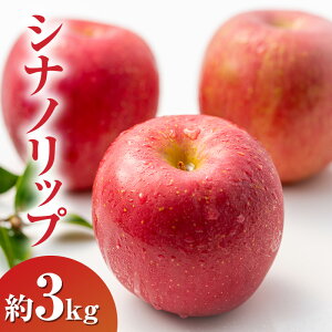 �y�ӂ邳�Ɣ[�Łz2026�N�����V�i�m���b�v��3kg ��� ���쌧�Y�@���͂��F2026�N8�����{�`9����{�܂�