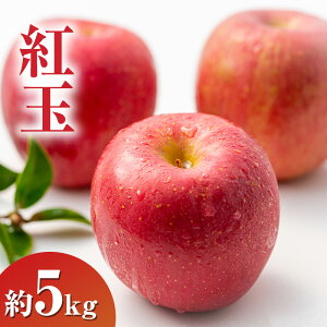 �y�ӂ邳�Ɣ[�Łz2026�N���� �g�ʖ�5kg 13�`18�� ��� ���쌧�Y�@���͂��F2026�N9�����{�`10����{�܂�