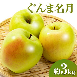 yӂ邳Ɣ[Łzܖ3kg  쌧Y@͂F2025N11{`11{܂