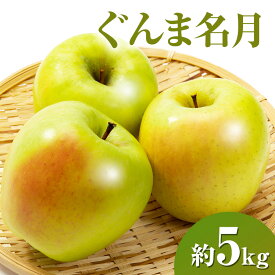 【ふるさと納税】【2026年11月発送】 ぐんま名月約5kg 13～18玉 りんご 長野県産　お届け：2026年11月上旬～11月下旬まで