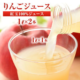 【ふるさと納税】りんごジュース 紅玉ジュース1L×2本　お届け：寄附入金確認後、順次発送