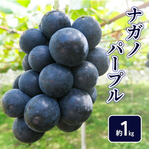 �y�ӂ邳�Ɣ[�Łz�y2026�N�����z�i�K�m�p�[�v����1kg �t���[�c ���쌧�@���͂��F2026�N9�����{�`10�����{