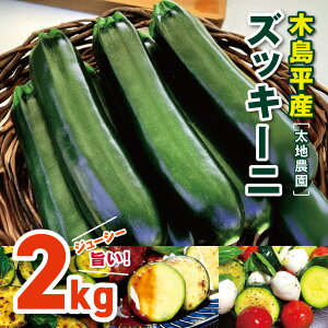 yӂ邳Ɣ[Łz ؓYYbL[j 2kg n_ |  Ė ₳ xW^u vegetable YbL[j E J{` ^gDC ␻ ύݗ Ă Ŗ BBQ 2kg ؓ