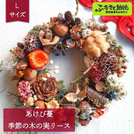 【ふるさと納税】あけび蔓 季節の木の実リース Lサイズ | W-2｜伝統工芸 伝統技術 インテリア 飾り物 おしゃれ プレゼント 母の日 結婚祝い 信州 長野県 野沢温泉村
