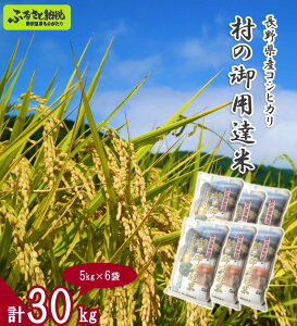 yӂ邳Ɣ[ŁžpB30kgbK-30b  RVqJ Ђ ͂  쌧 MB