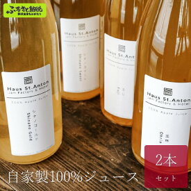 【ふるさと納税】【お中元】自家製100%ジュース 2本セット | L-1｜りんごジュース ラフランス 飲み比べ 砂糖不使用 王林 シナノスイート ふじりんご シナノゴールド 秋映 紅玉 フルーツ くだもの 果物 信州 長野県 野沢温泉村