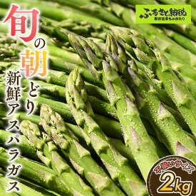 【ふるさと納税】旬の朝どり新鮮アスパラガス 不揃いサイズ 合計2.0kg | J-2 ※2026年5月中旬頃より順次発送予定