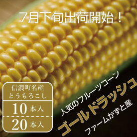 【ふるさと納税】2026年夏のご予約受付開始！ 信濃町名産とうもろこし『ファームかずとのゴールドラッシュ 10本 / 20本セット』粒皮が薄く生でも食べられる、フルーツを凌ぐほどの甘いとうもろこし 朝採れを農場から直送　令和8年7月下旬～8月下旬出荷分 先行予約